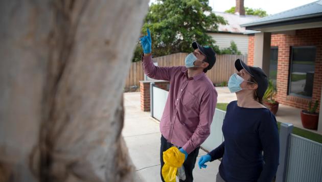 澳大利亚溃疡性结肠炎,澳大利亚皮肤病