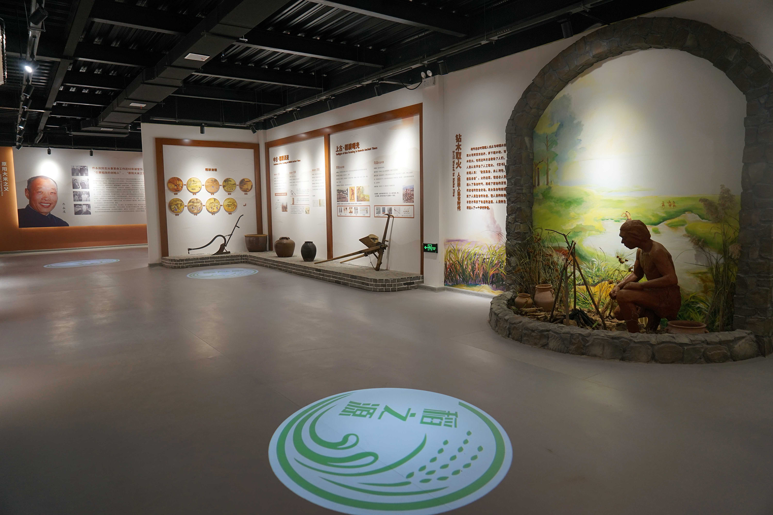 原阳大米几十年销量变化,原阳大米的缺点