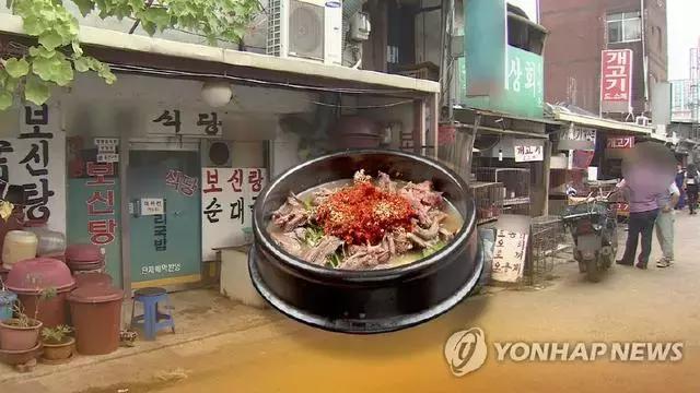 韩国最大的宠物狗市场,世界上最大狗肉市场