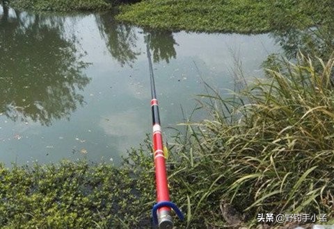 鱼钩大小决定钓多大鱼吗,鱼钩大小对钓鱼影响图