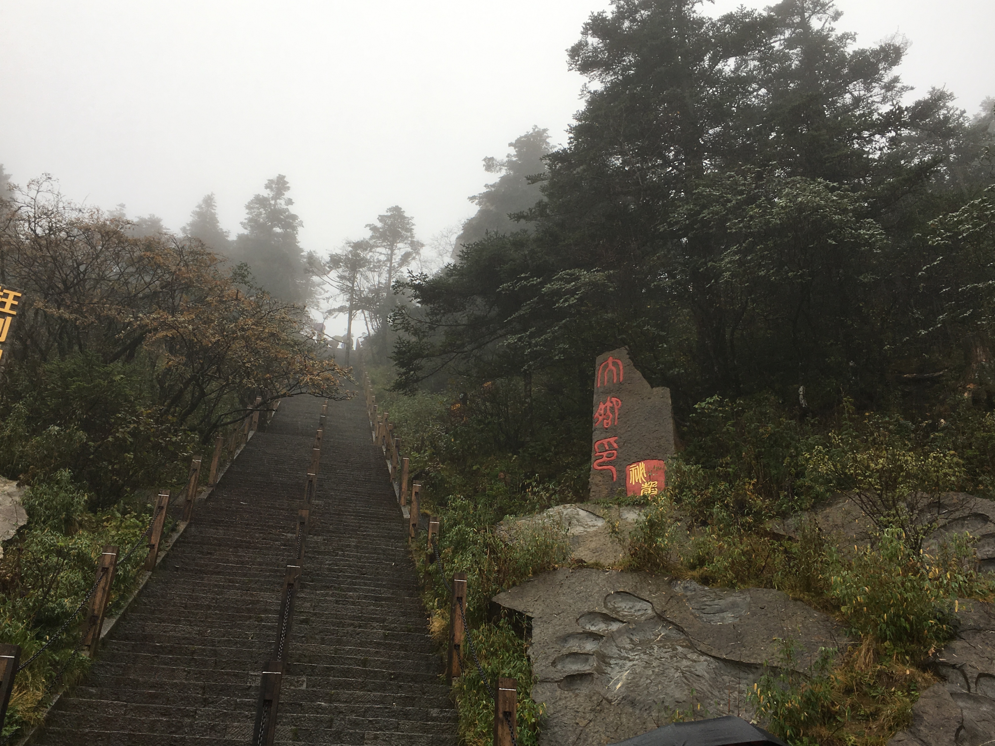 雨中神农架探秘之旅｜国庆节节武汉至神农架自驾游攻略分享