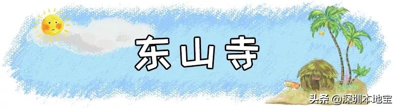 深圳免费的景点有哪些地方,深圳有哪些免费又好玩的地方景点