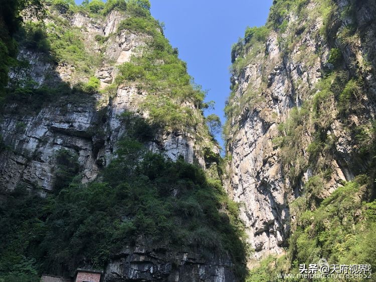 四川黑竹沟之谜,四川黑竹沟探险之旅