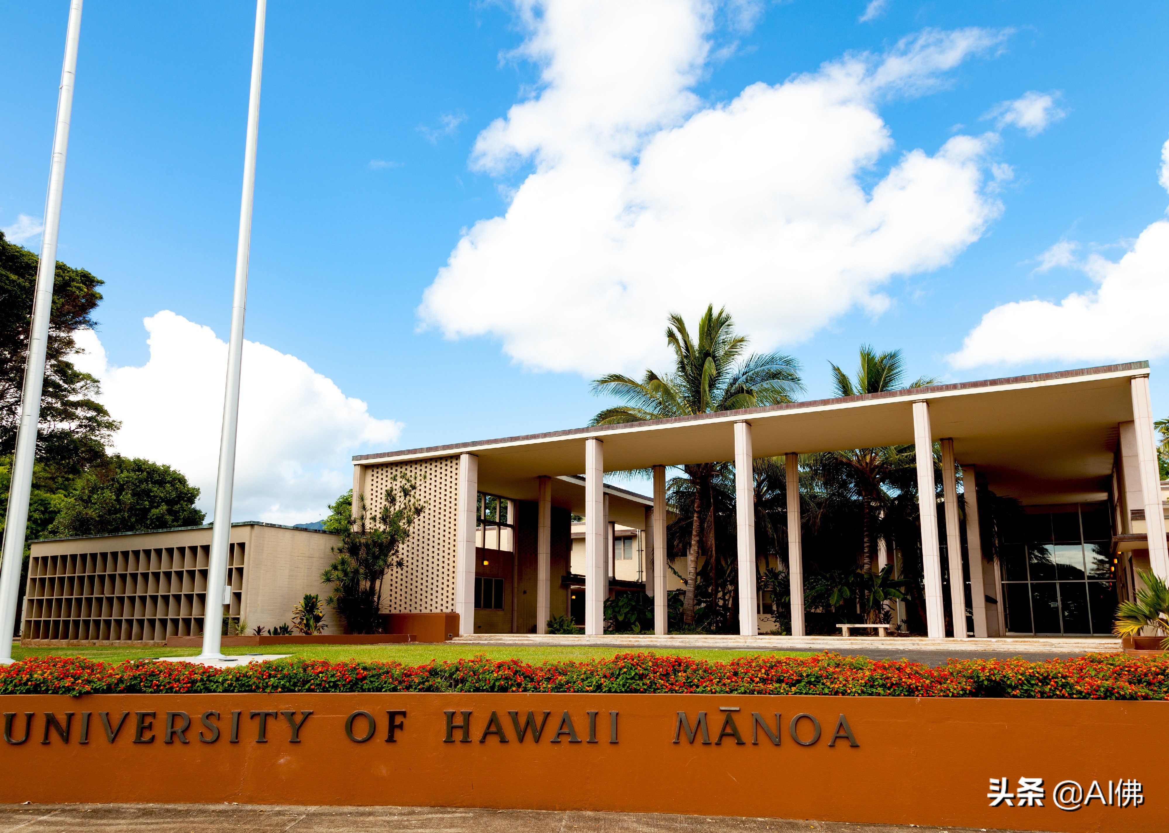 美国东部公立大学排行榜,美国各州最好的公立大学