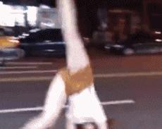 新娘开心的搞笑视频,搞笑gif开心一刻女司机上车