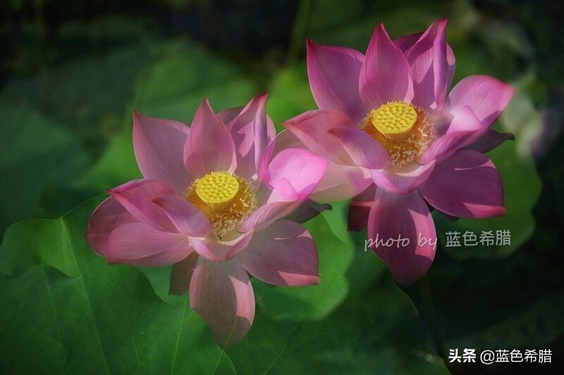 佳能5d3能拍多少数量照片,佳能5d3有多重曝光拍摄技巧