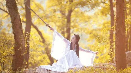 坝上秋色之金色草原,坝上金色草原风景