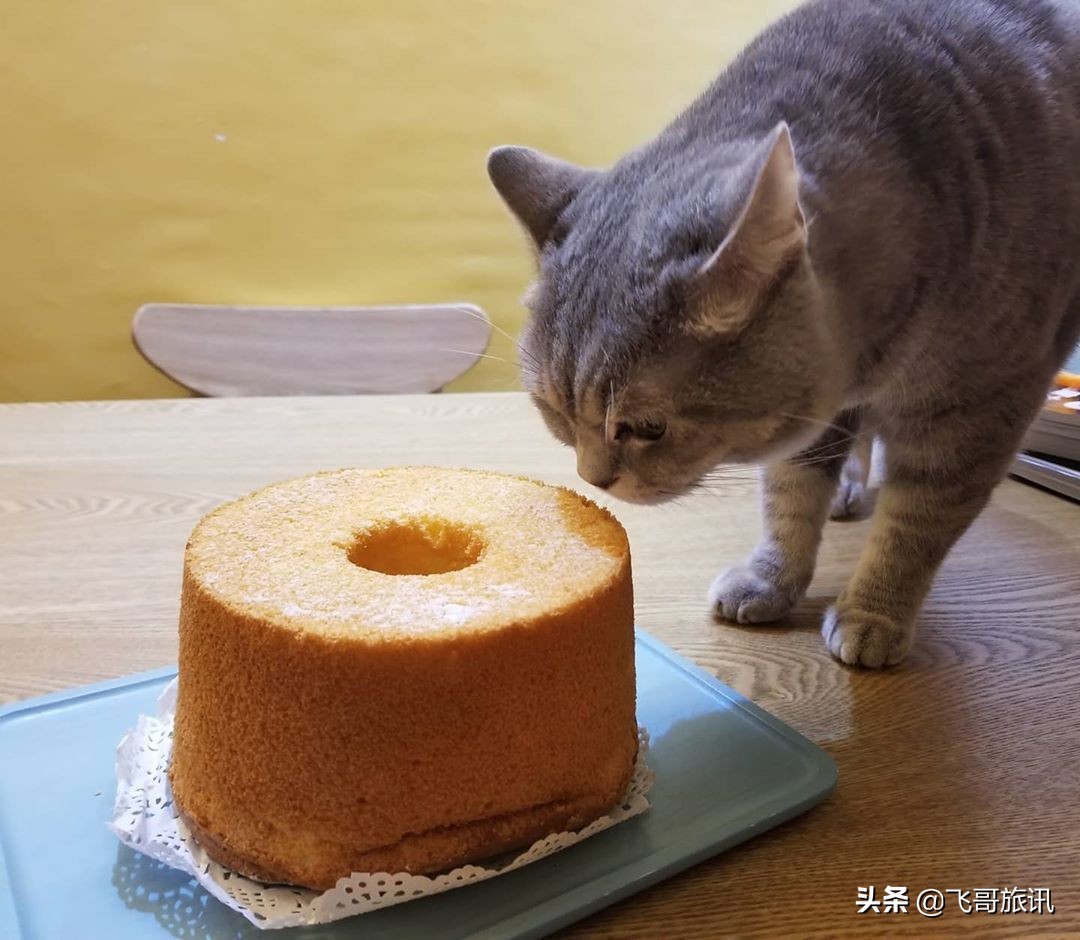 香港露营点,香港露营路线推荐
