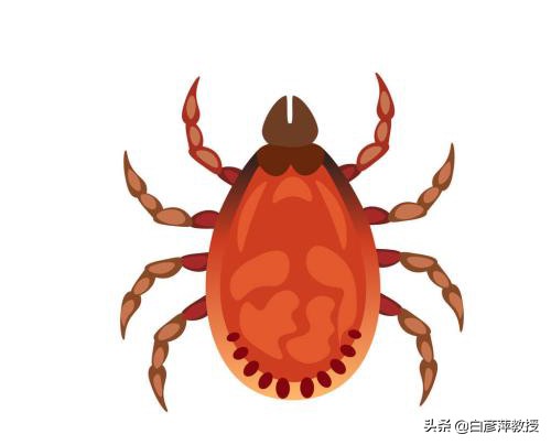 怎样除花草蚊虫叮咬的虫子,毒虫叮咬防虫知识