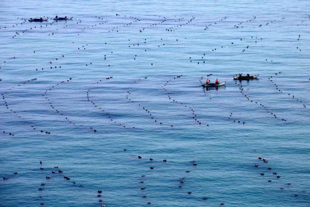 异国风情的东北城市,东北欧洲风情的城市