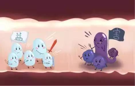 用了抗生素拉肚子怎么办,因长期服用大量抗生素导致的腹泻