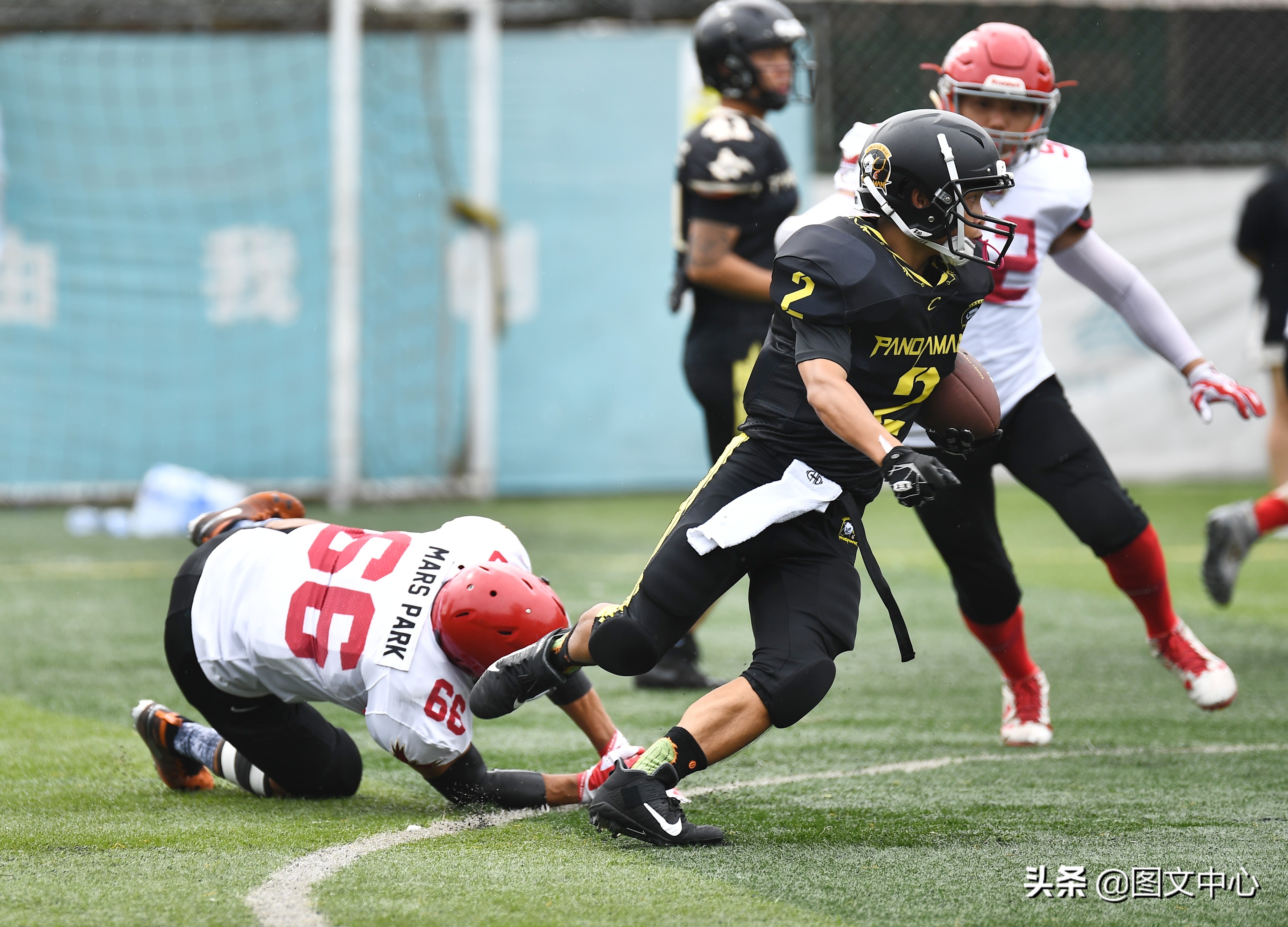 cnfl中国橄榄球联赛官网,cnfl橄榄球队伍