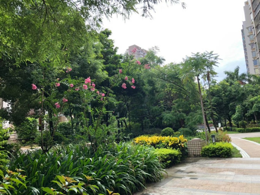 晨练即景七绝,小区早晨景色七绝诗