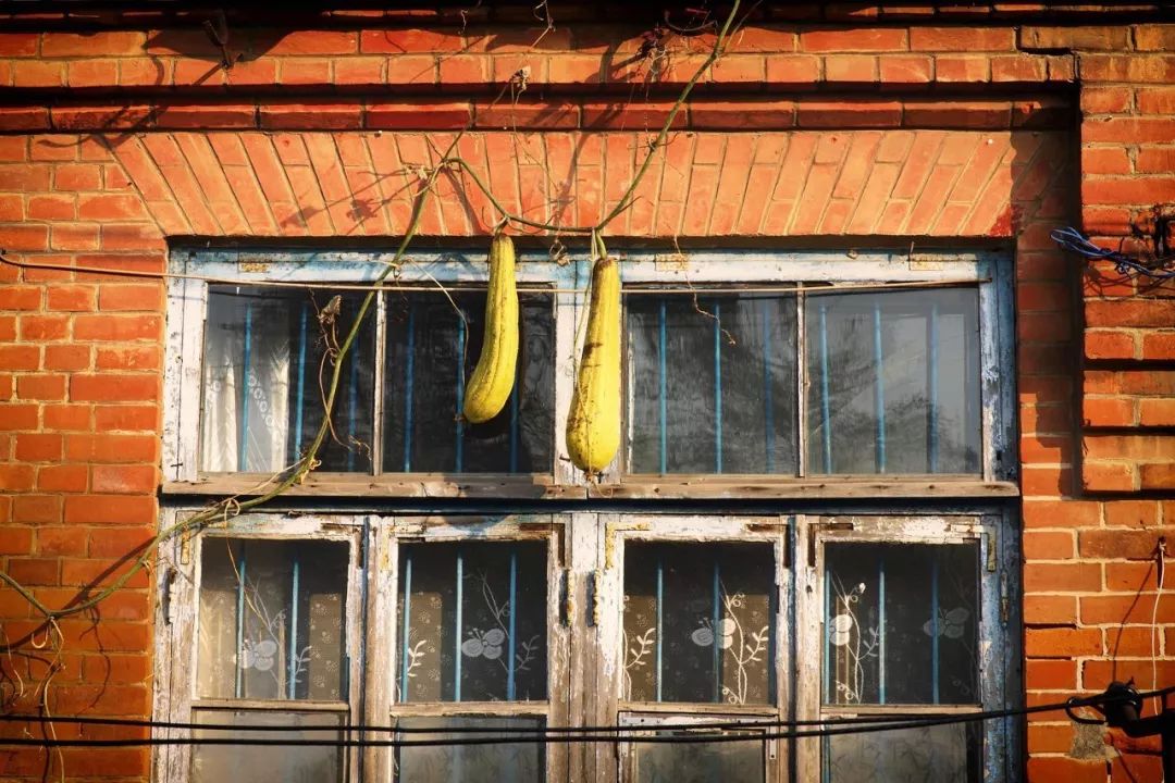 旅游三亚和厦门哪个更值得去,三亚和厦门哪一个更值得去旅游