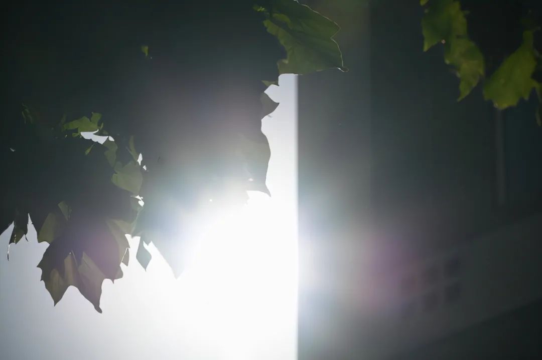 尼康z50配dx镜头,尼康zdx镜头