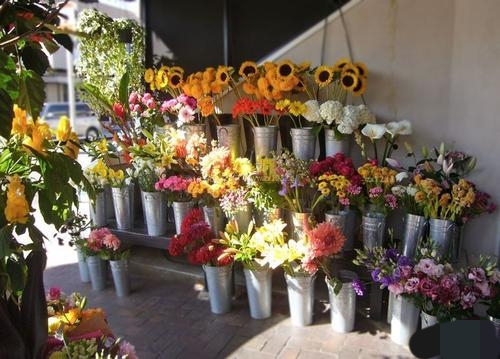 花店创业项目怎么做,推荐的花店创业项目有哪些