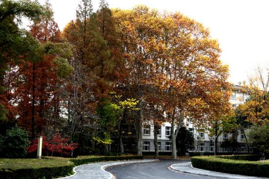 亚洲宜居城市排名2019,中国唯一一个国际评选的宜居城市