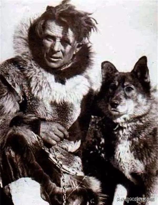 哈士奇拯救小镇,哈士奇救二哈