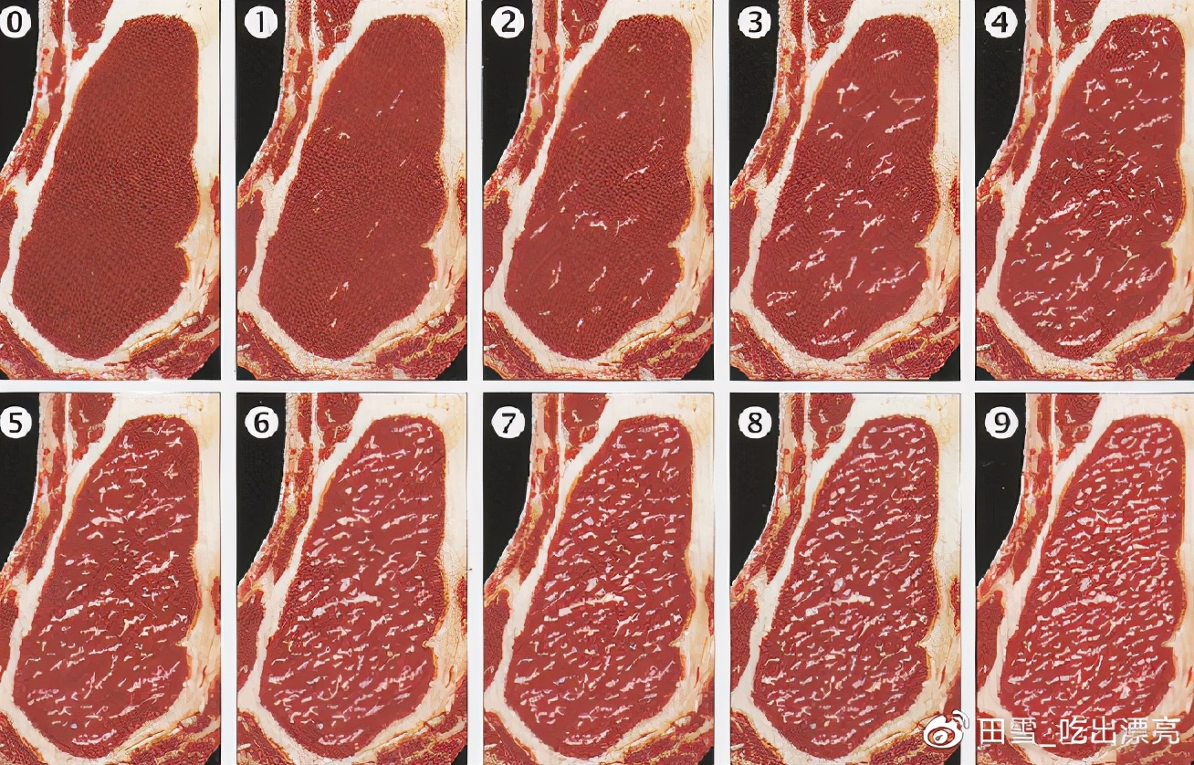 牛肉先锋|挑选好牛肉的锦囊妙计，“庖丁解牛”了解一下