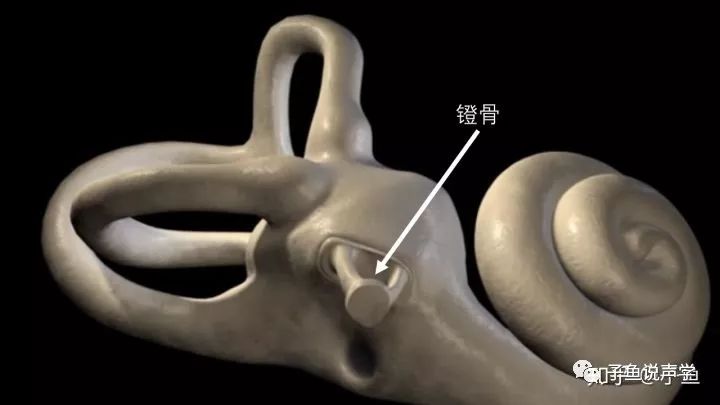 人听到声音的频率如何变化,人是怎么辨别不同频率的声音