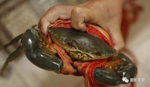 吃海鲜也要讲究时令,吃海鲜最佳的季节是什么时候