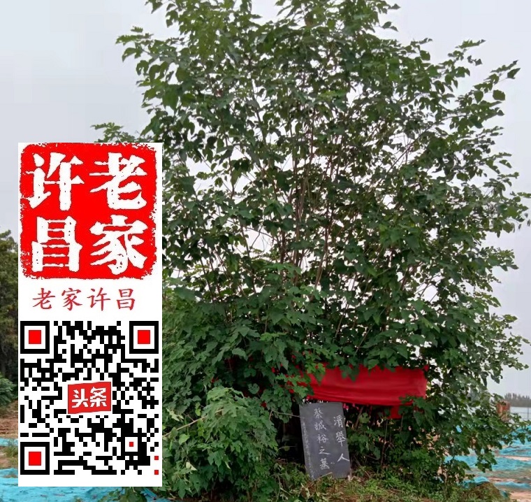 清末许昌形成了比较完整的教育体系，跟这位老夫子有关