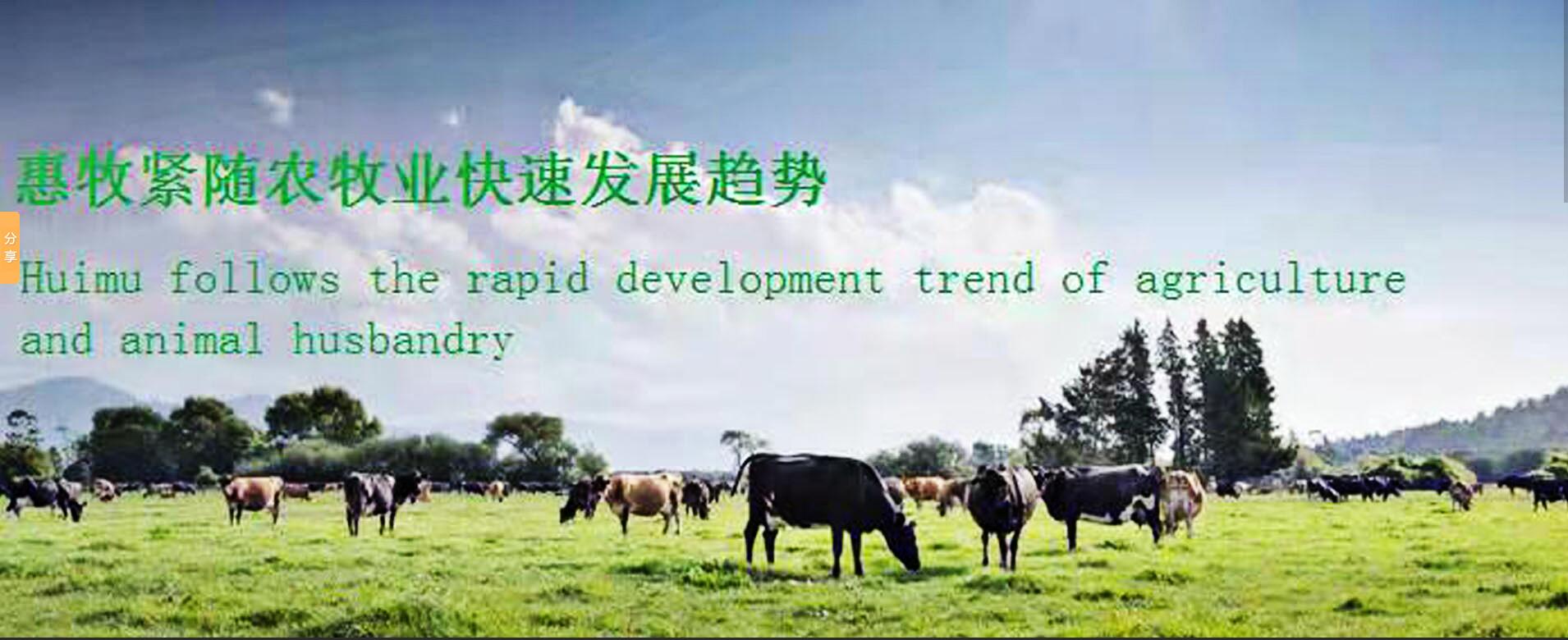 ps怎样解决图片太小放大失真,图片放大后失真用ps怎么处理