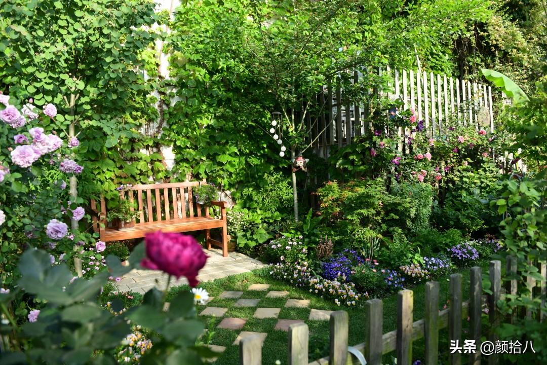 愿时光静止,愿时光静止在这一刻