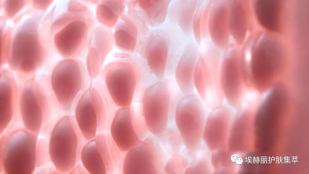 大马士革玫瑰精粹油,里美大马士革玫瑰精华油