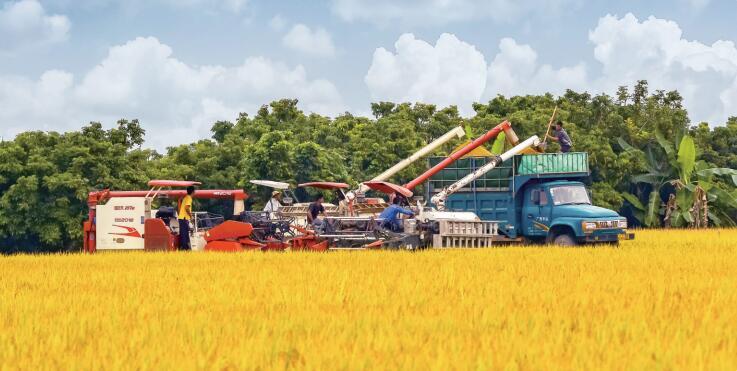 广西乡村振兴人才培养计划,广西推动乡村人才振兴若干措施