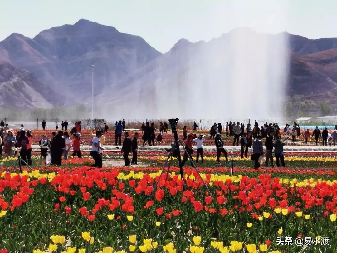 狼牙山花海最佳观赏时间,狼牙山花海风景区