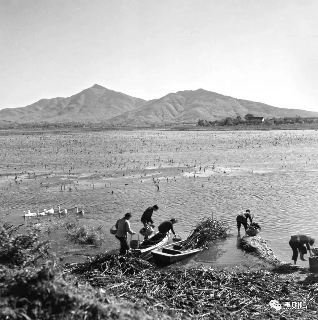 1934年的南京城,1944年南京视频