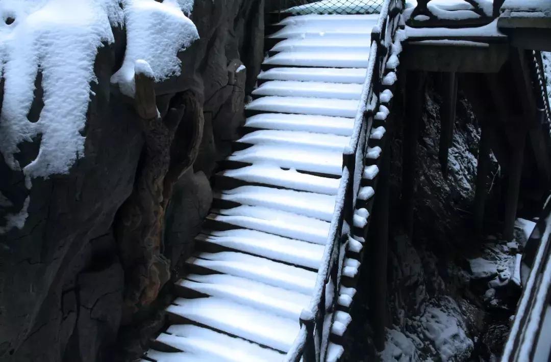 陕西8月免门票旅游景区大盘点,陕西哪些旅游景点降价