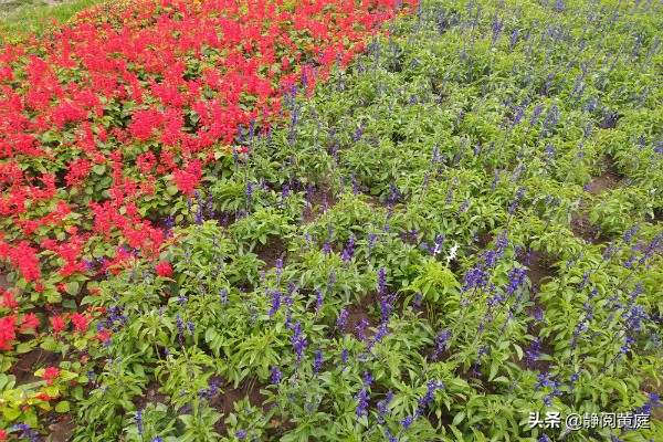 一首唐诗一阵风，不仅送来春花烂漫与黄叶飘飘，还驱散了所有阴霾