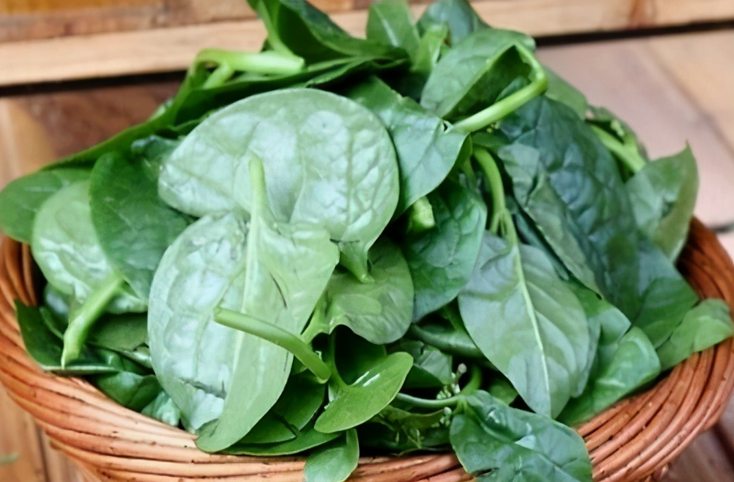 最像木耳的野菜,类似于木耳的野菜