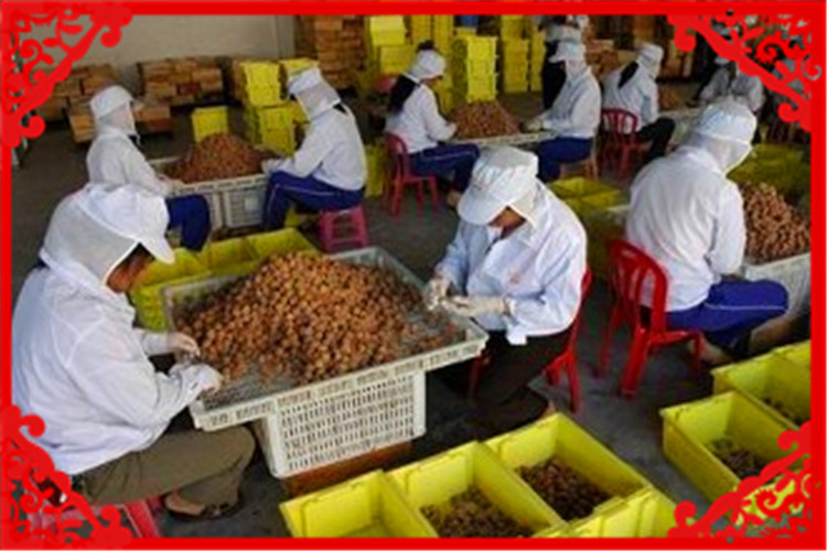 10万可以开什么加工厂前景比较大,5万元小型家具加工厂