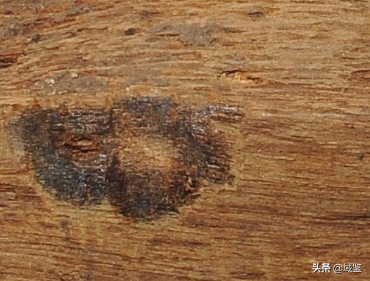 比黄金贵的木头沉香,沉香木比黄金贵