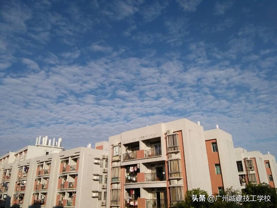 校园环境的简介,校园环境篇