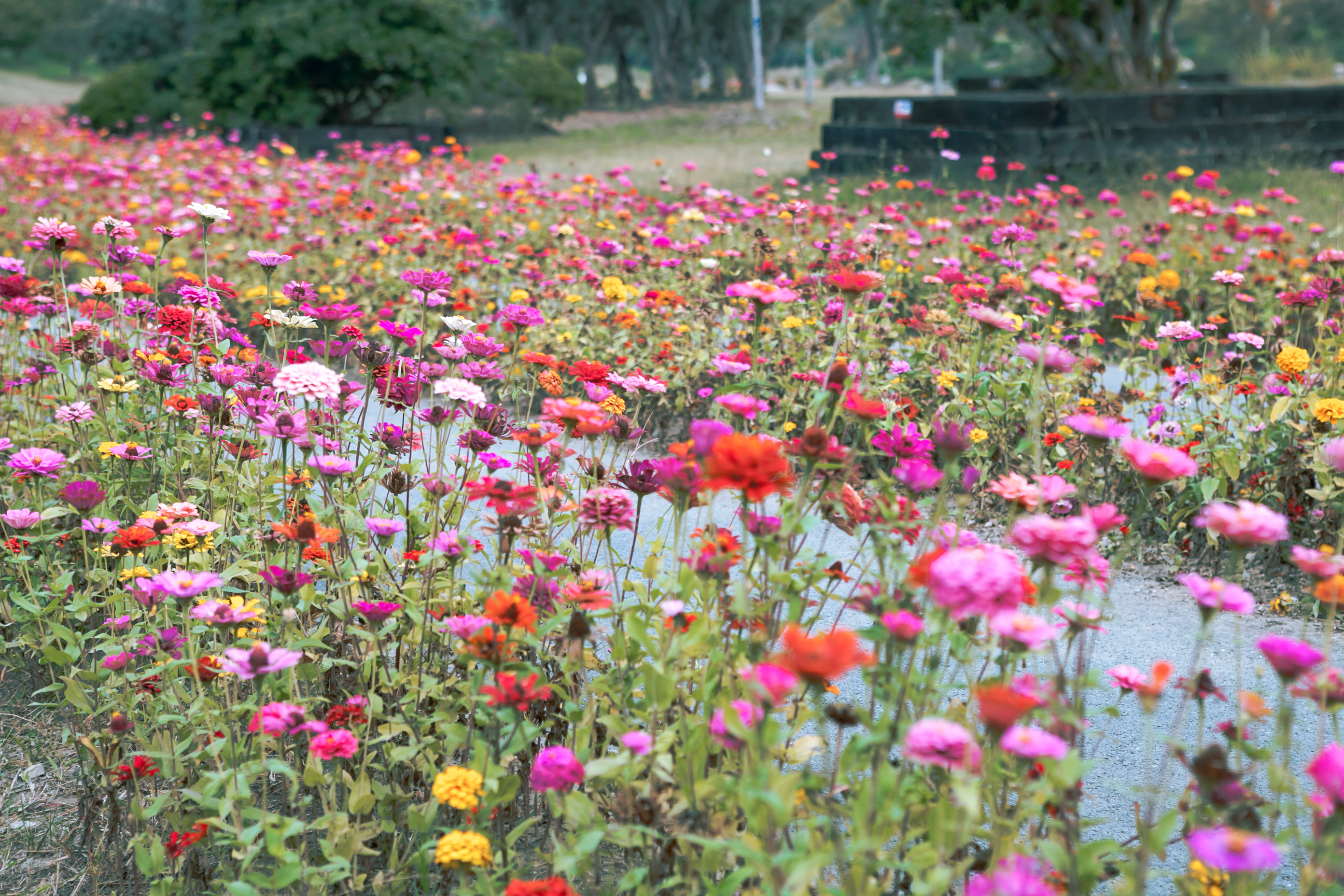秋天的无锡美的醉人，去无锡旅行，这些好地方不要错过了