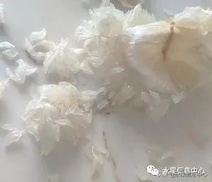 在网上买水果有哪些坑,在网上买水果划算吗