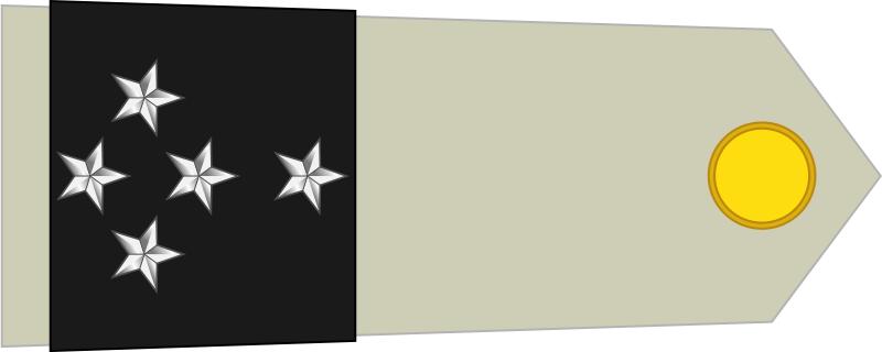 法国将军军衔等级,法国上校是什么军衔