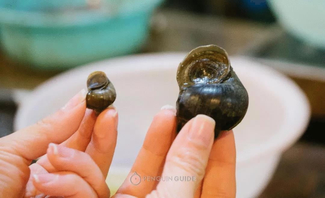 湖州东站高铁站,湖州东站高铁站路线