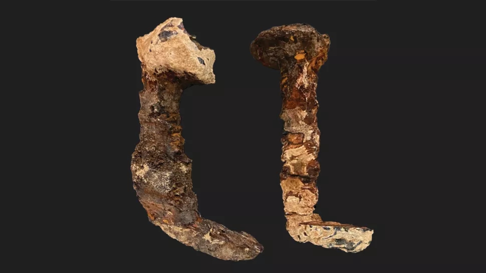 以色列发现一万年前的铁钉,以色列发现化石骨骼