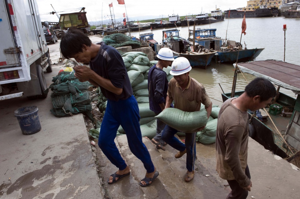 正宗的鱼翅汤,家庭自制鱼翅汤
