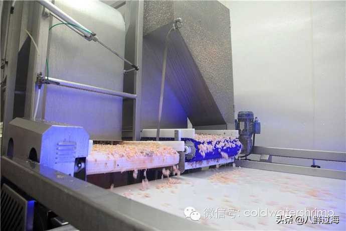 盐田生虾仁工厂,去壳北极甜虾工厂