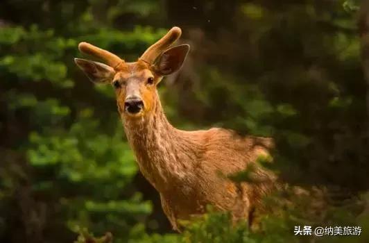 西雅图一生必去的景点,西雅图旅游攻略必去景点大全