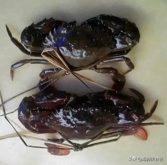 常见的鱼虾蟹等海鲜的认识,虾蟹类海鲜大全