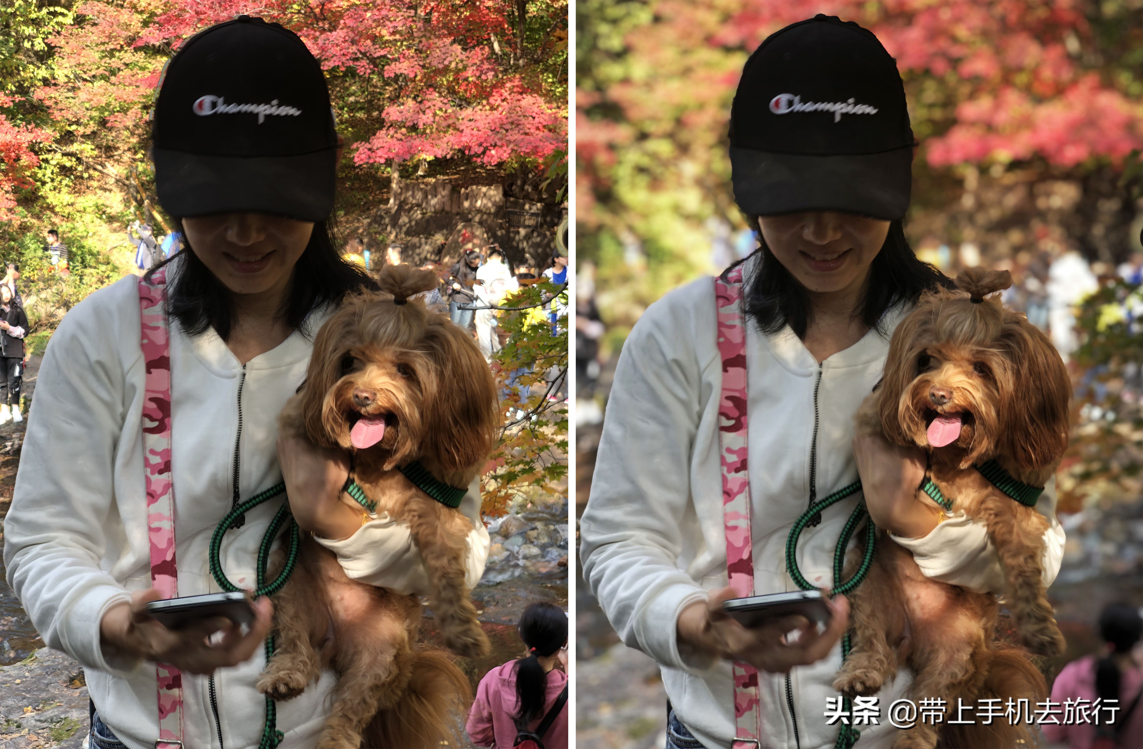 手机拍什么画面好看又清晰,如何让手机拍摄出的画面更够质感