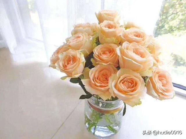 各色玫瑰寓意和花语一样吗,各色的玫瑰花代表什么