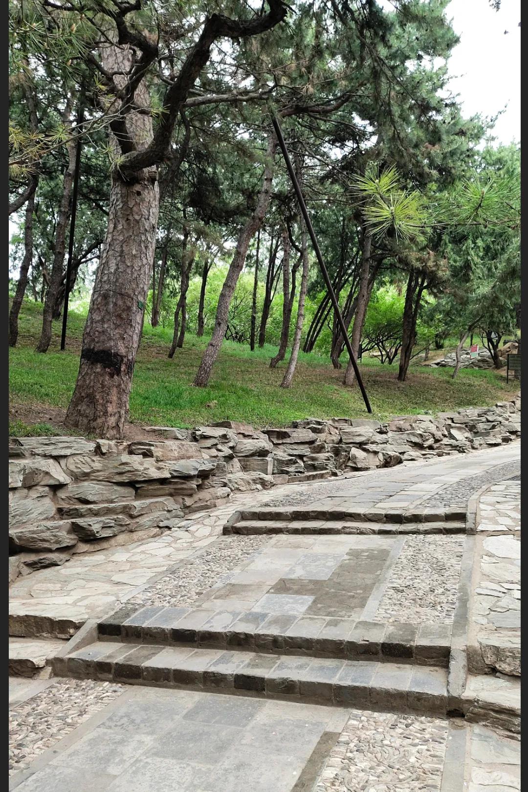 xc老款,200元的索尼xc能用吗